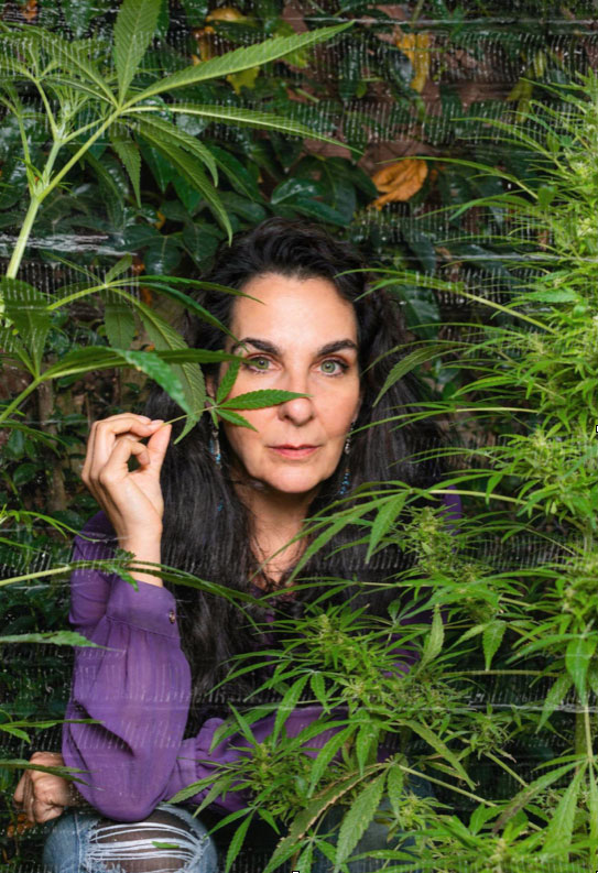 Robin Swan among cannabis plants, holding a leaf beside her face